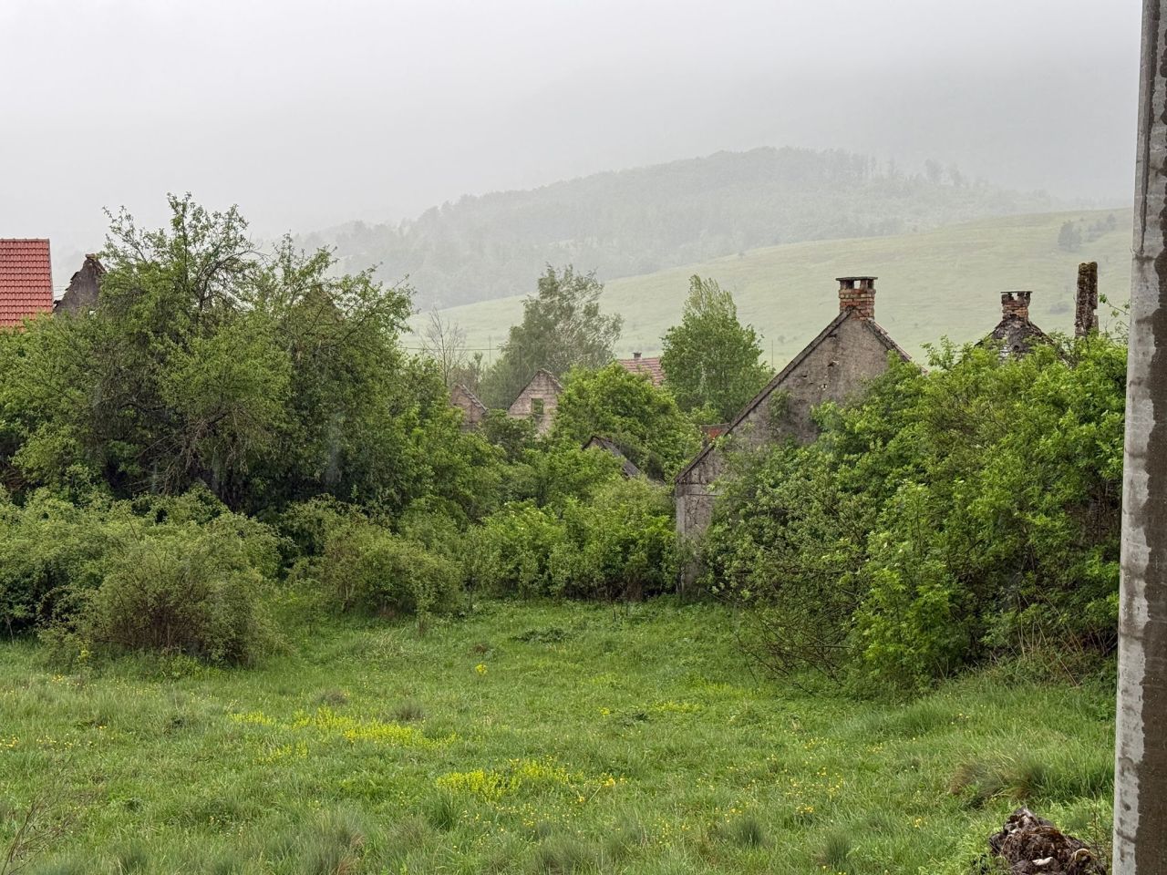 20260512-160200.jpg